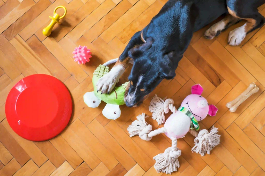 Versatile puppy teething toys suitable for all stages